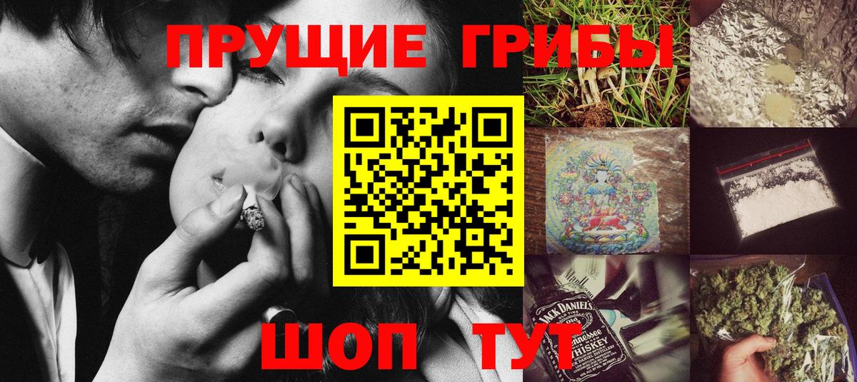 как найти   Галлюциногенные грибы Cubensis  Вход с VPN  Бийск 